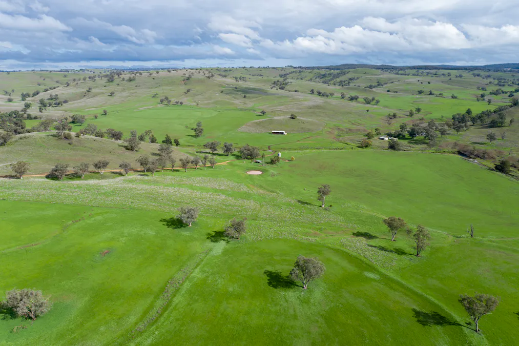 Hillgrove, 2851 Napier Lane, Nombi, NSW, 2379 - Image 21