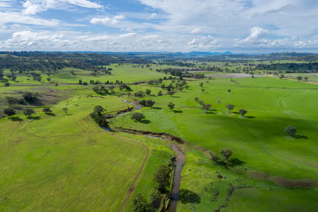 Hillgrove, 2851 Napier Lane, Nombi, NSW, 2379 - Image 1