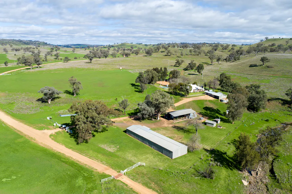 Hillgrove, 2851 Napier Lane, Nombi, NSW, 2379 - Image 7