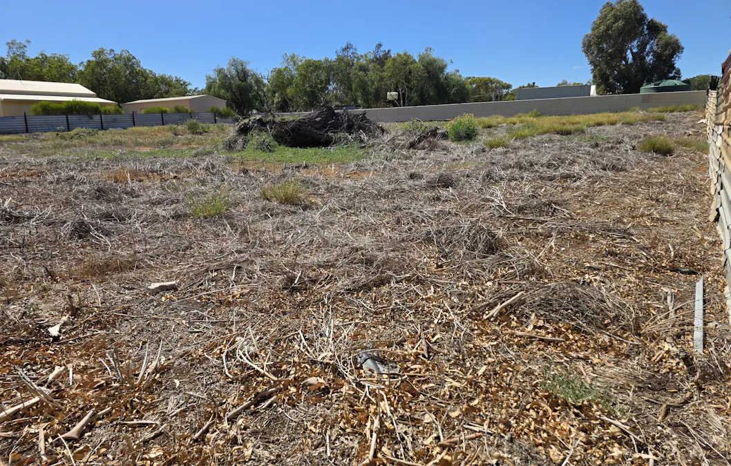 10  Lauder Street, Nanson, WA, 6532 - Image 3