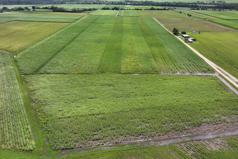 962 Abergowrie Road, Trebonne, QLD, 4850 - Image 3