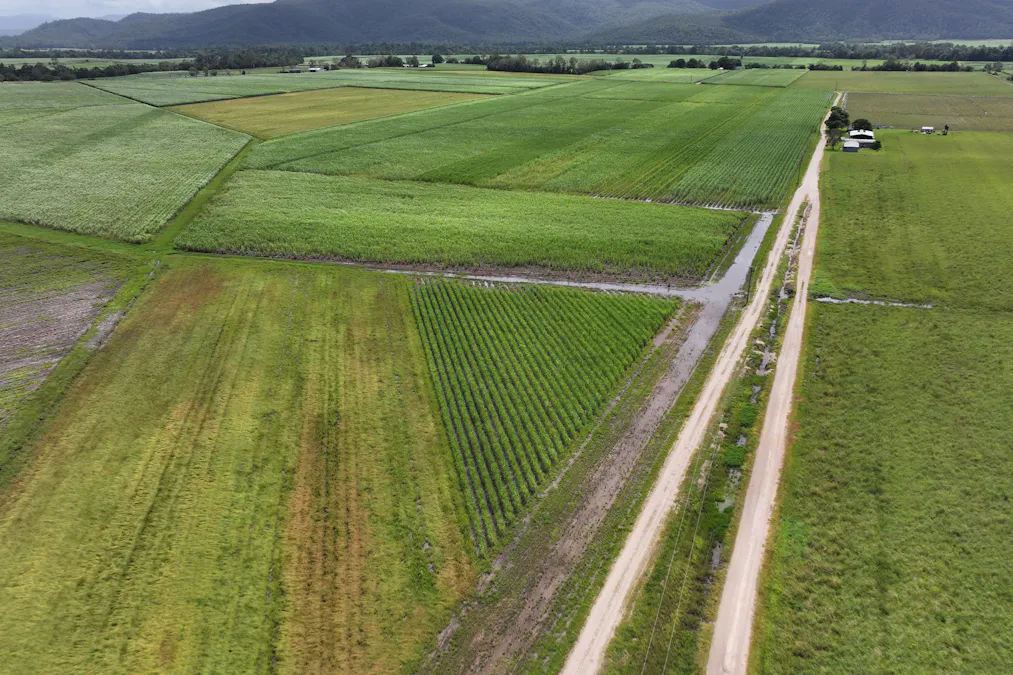 962 Abergowrie Road, Trebonne, QLD, 4850 - Image 5