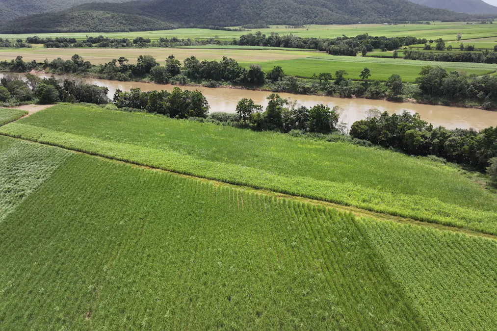 962 Abergowrie Road, Trebonne, QLD, 4850 - Image 7