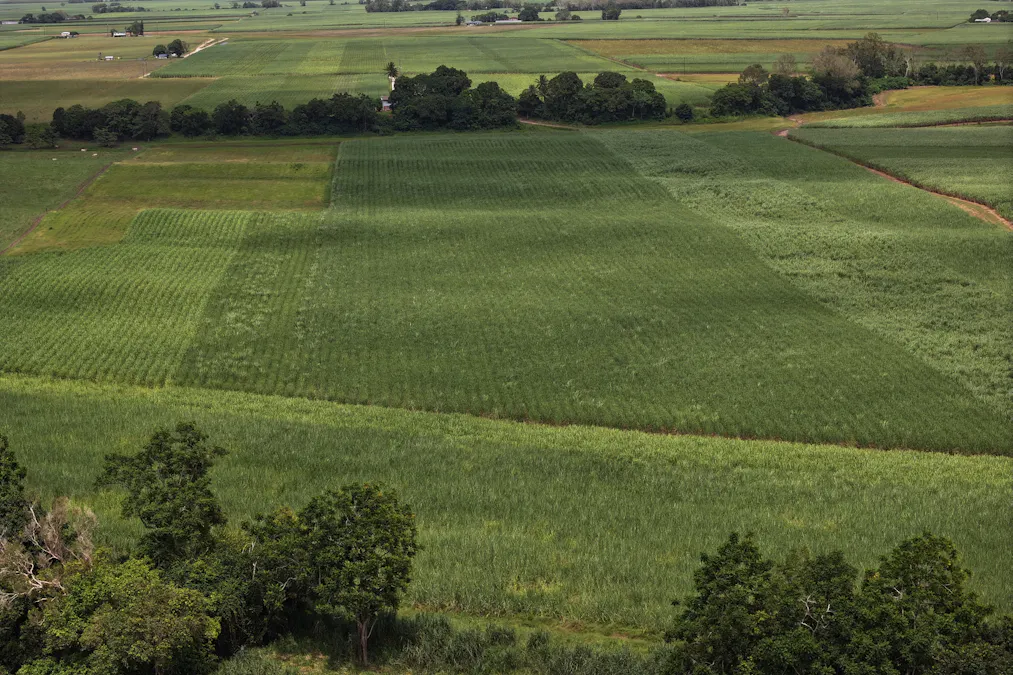 962 Abergowrie Road, Trebonne, QLD, 4850 - Image 9