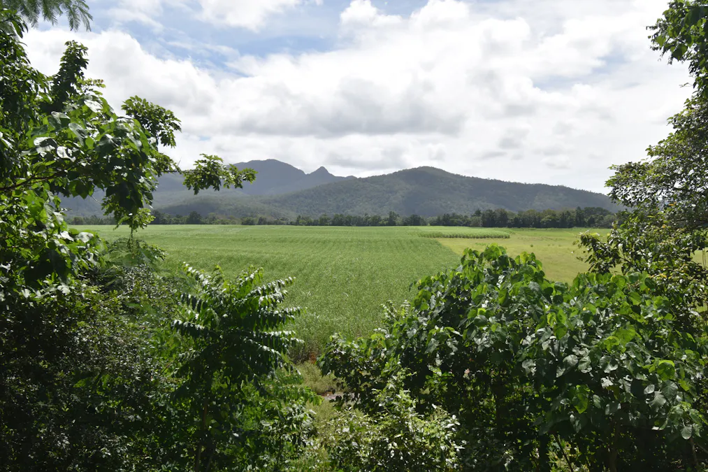 962 Abergowrie Road, Trebonne, QLD, 4850 - Image 19