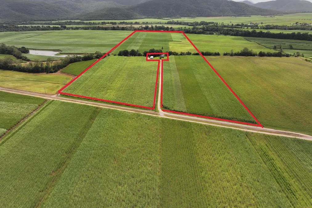 962 Abergowrie Road, Trebonne, QLD, 4850 - Image 11