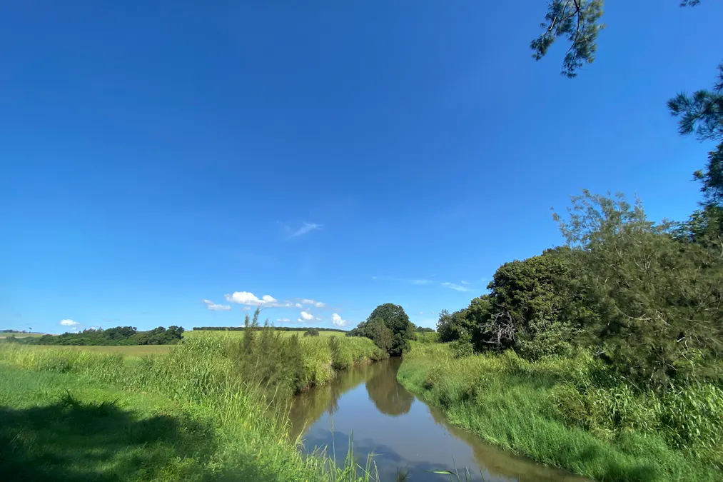 32 McKeown Road, East Barron, QLD, 4883 - Image 14