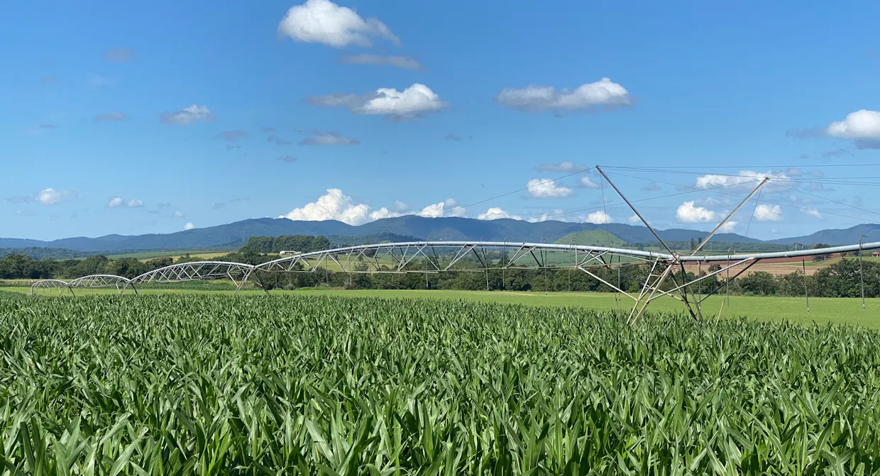 32 McKeown Road, East Barron, QLD, 4883 - Image 13