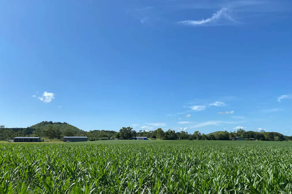 32 McKeown Road, East Barron, QLD, 4883 - Image 12