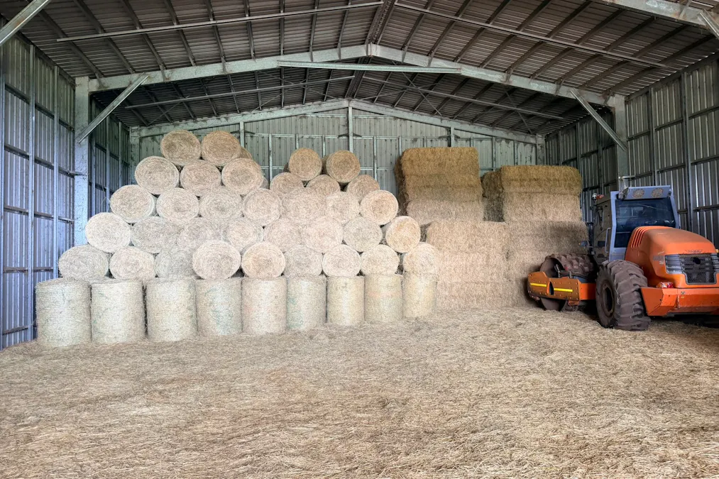 32 McKeown Road, East Barron, QLD, 4883 - Image 6