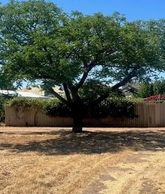 12 Gamenya Avenue, Merredin, WA, 6415 - Image 1