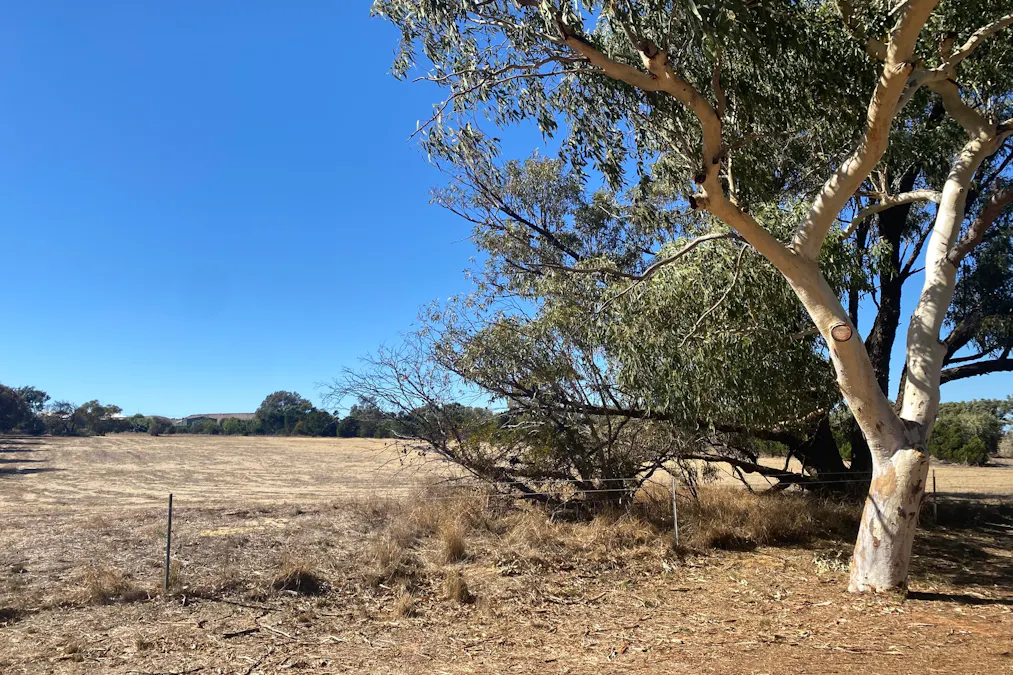 23A Trant Road, Moresby, WA, 6530 - Image 9