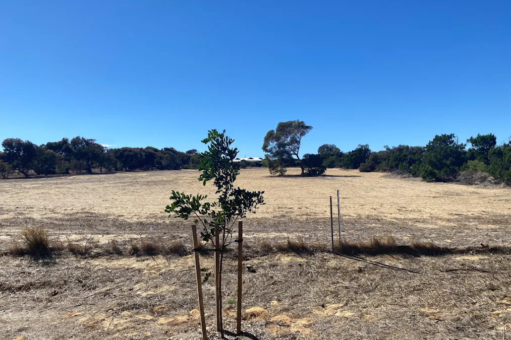 23A Trant Road, Moresby, WA, 6530 - Image 8