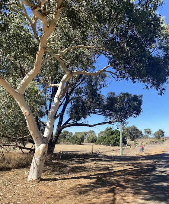 23A Trant Road, Moresby, WA, 6530 - Image 10