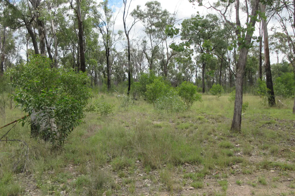 Tara, QLD, 4421 - Image 10