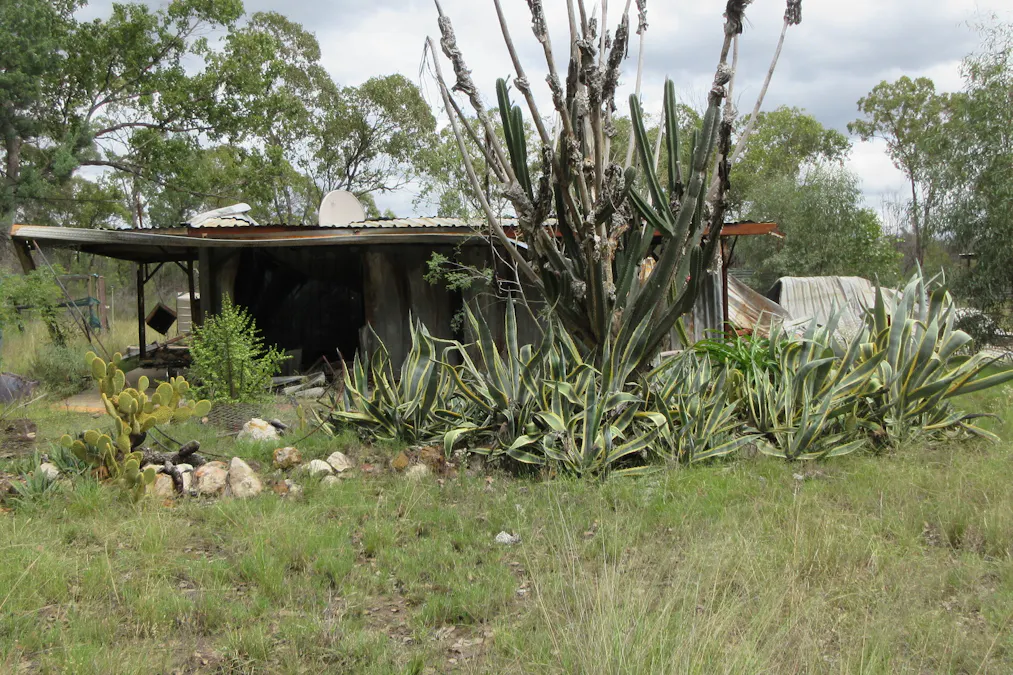 Tara, QLD, 4421 - Image 13