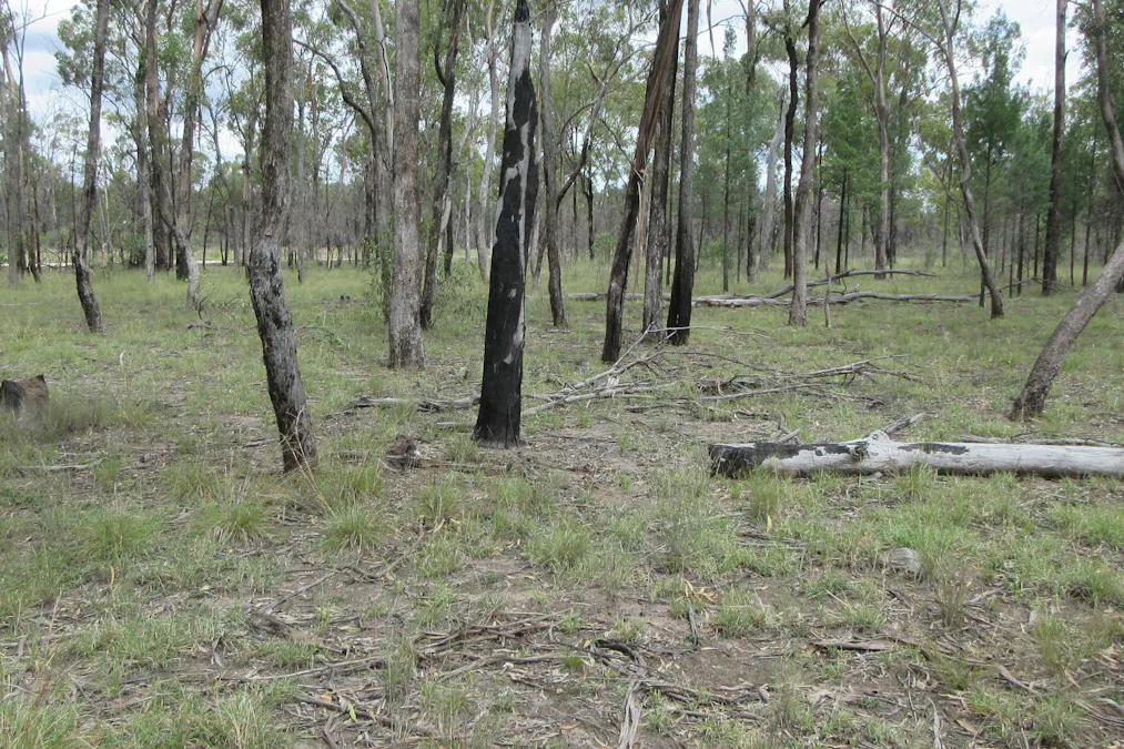 Tara, QLD, 4421 - Image 14