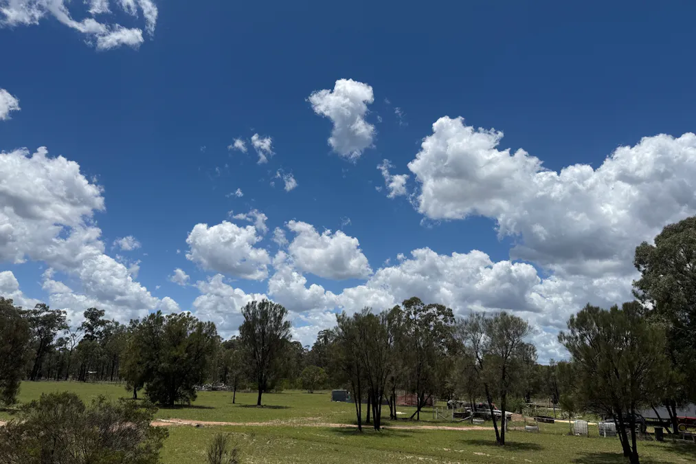 Tara, QLD, 4421 - Image 15