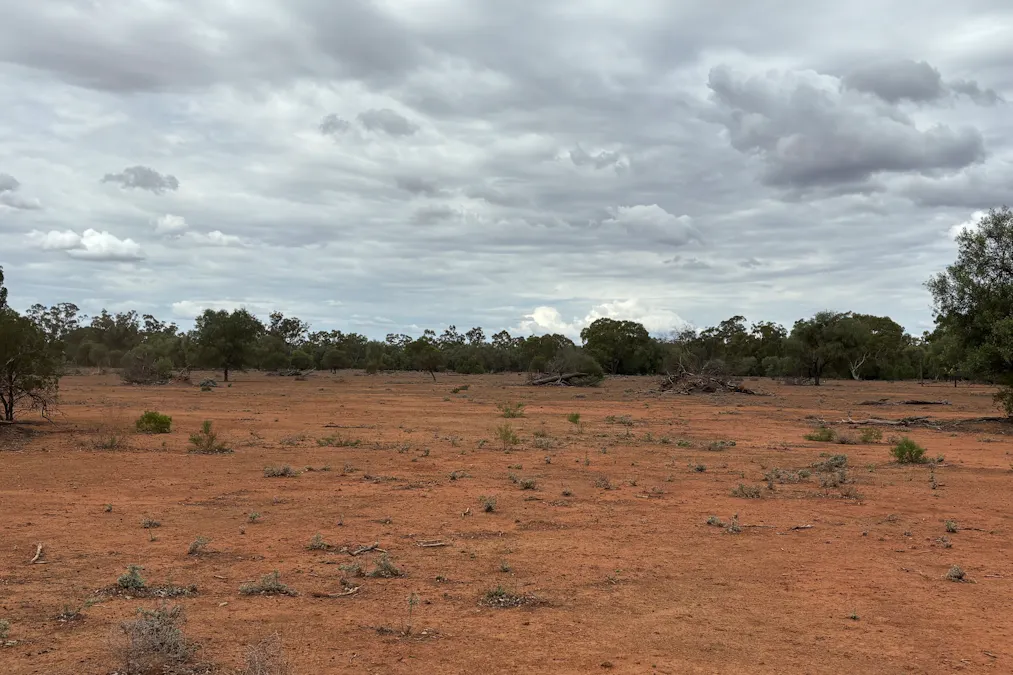 71 Gongolgon Road, Girilambone, NSW, 2831 - Image 5