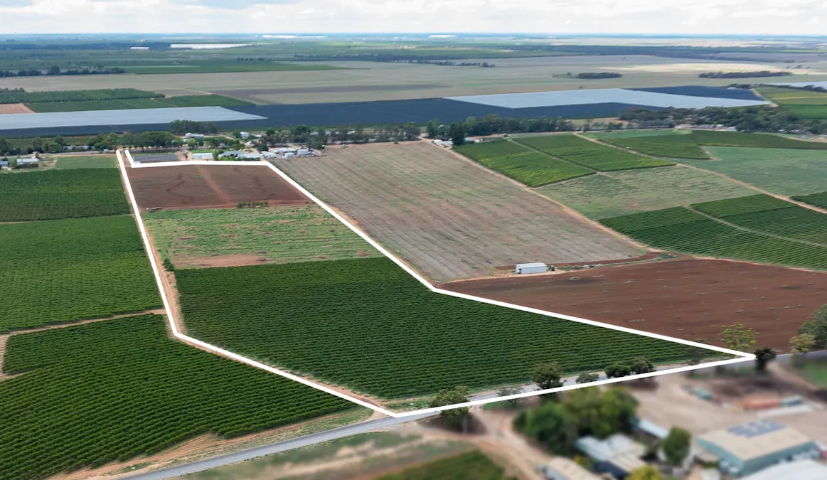 11/Anderson Road, Loxton, SA, 5333 - Image 5