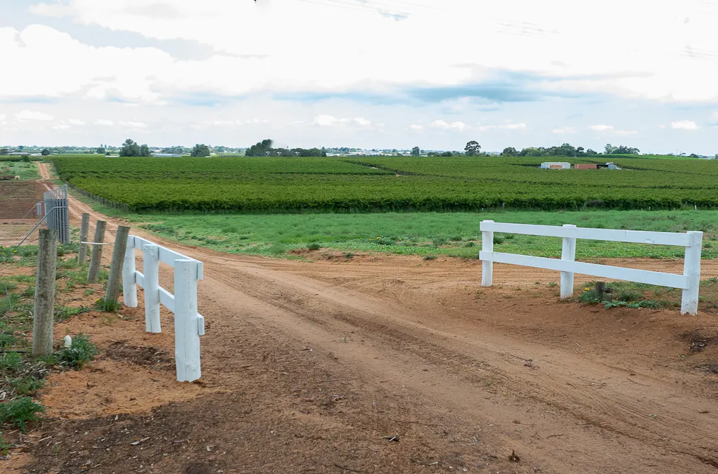 11/Anderson Road, Loxton, SA, 5333 - Image 2