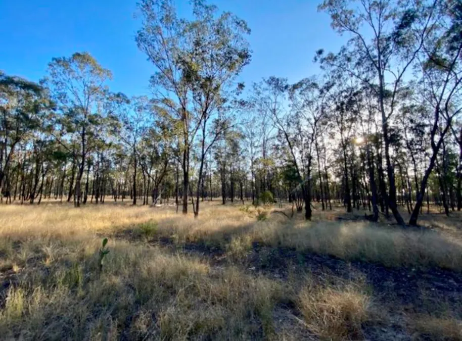 3987 Chinchilla Tara Road, Tara, QLD, 4421 - Image 3