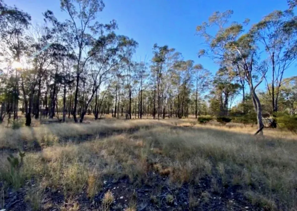3987 Chinchilla Tara Road, Tara, QLD, 4421 - Image 1