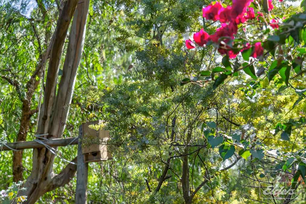 7 Luders Street, Mclaren Vale, SA, 5171 - Image 24