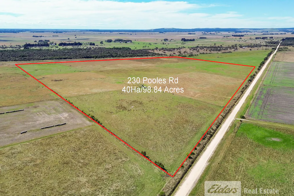 338 Pooles Road, Hatherleigh, SA, 5280 - Image 7