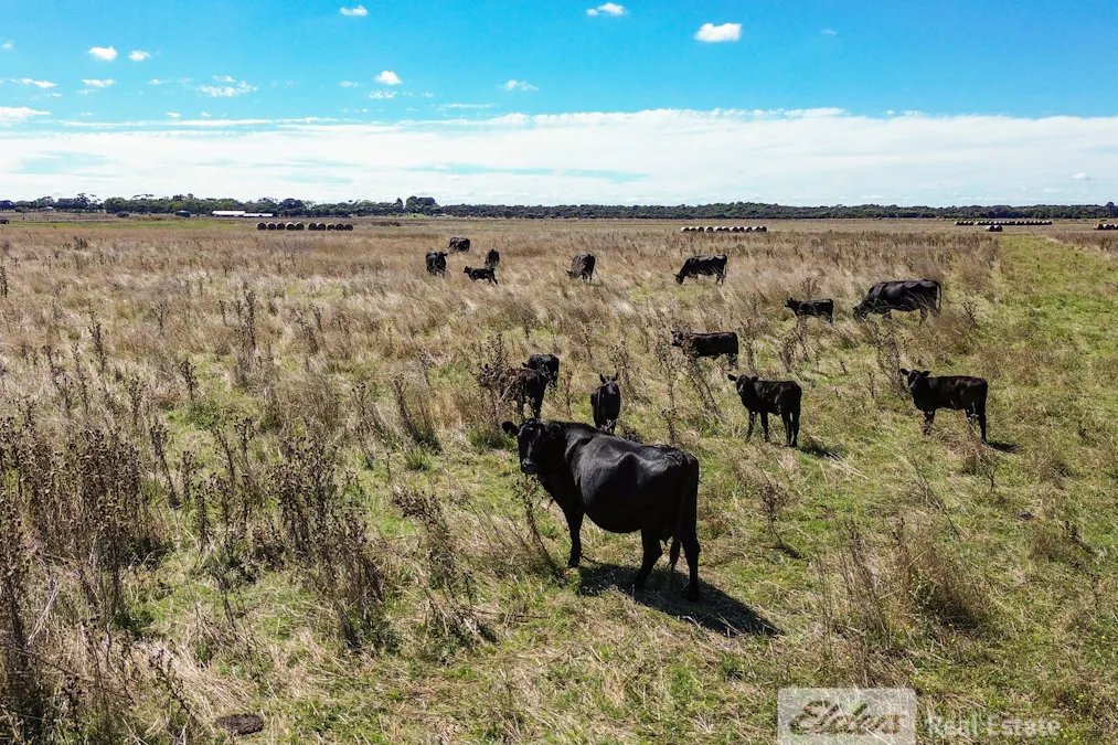 338 Pooles Road, Hatherleigh, SA, 5280 - Image 10