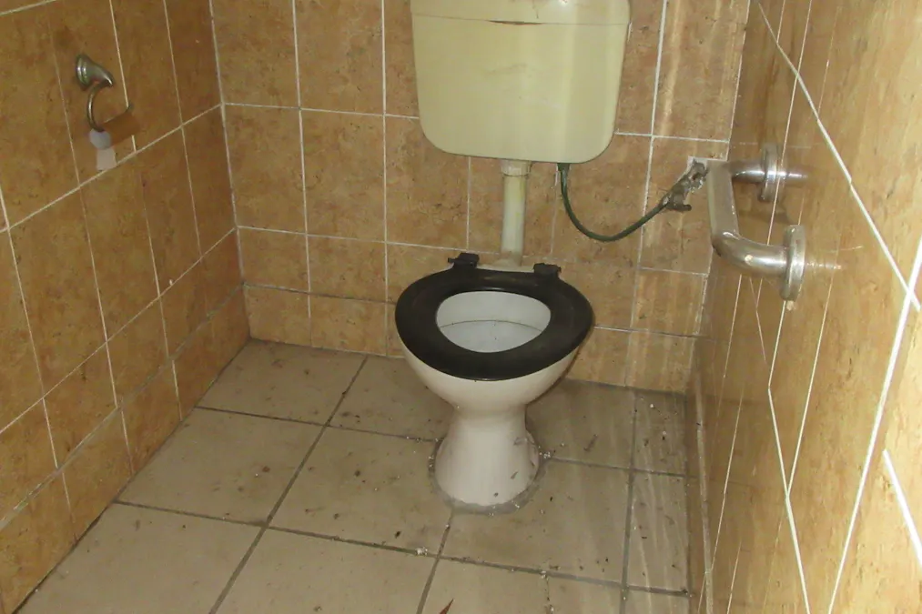 Tara, QLD, 4421 - Image 6