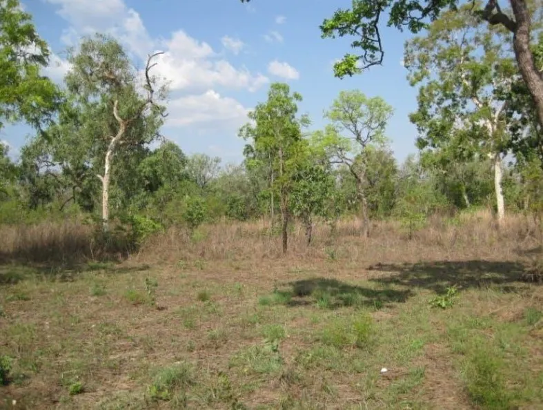 175 Whitstone Road, Acacia Hills, NT, 0822 - Image 1