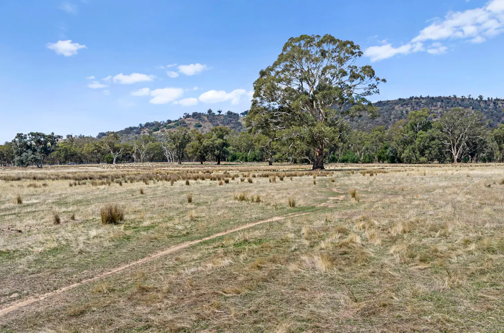 Racecourse Street, Euroa, VIC, 3666 - Image 5