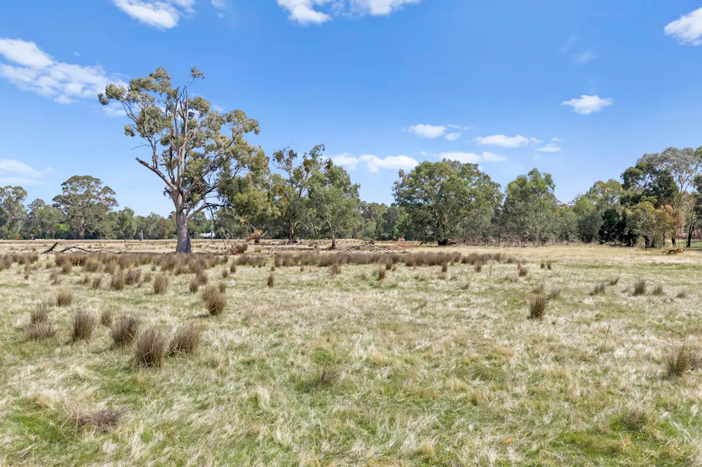 Racecourse Street, Euroa, VIC, 3666 - Image 6