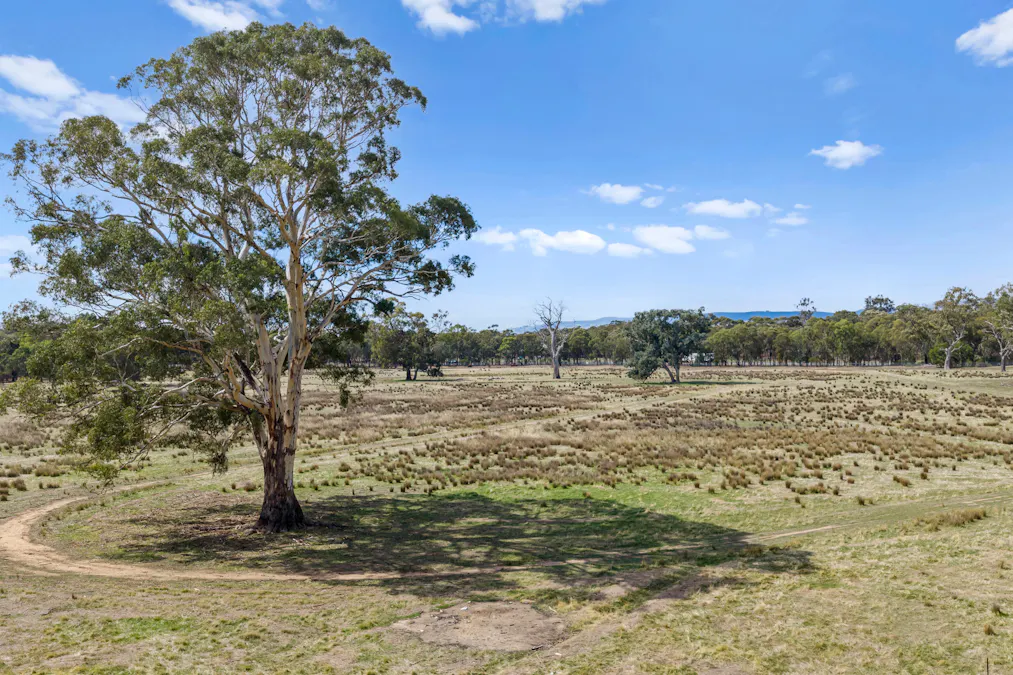 Racecourse Street, Euroa, VIC, 3666 - Image 8