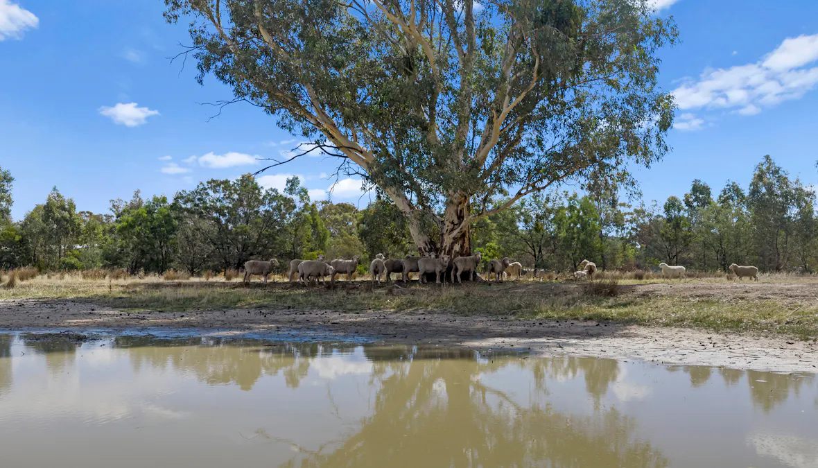 Racecourse Street, Euroa, VIC, 3666 - Image 13