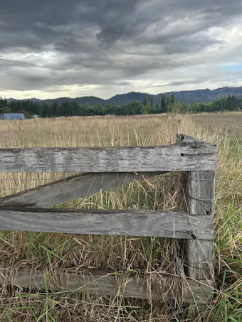 2/Surrey Street, Blandford, NSW, 2338 - Image 1