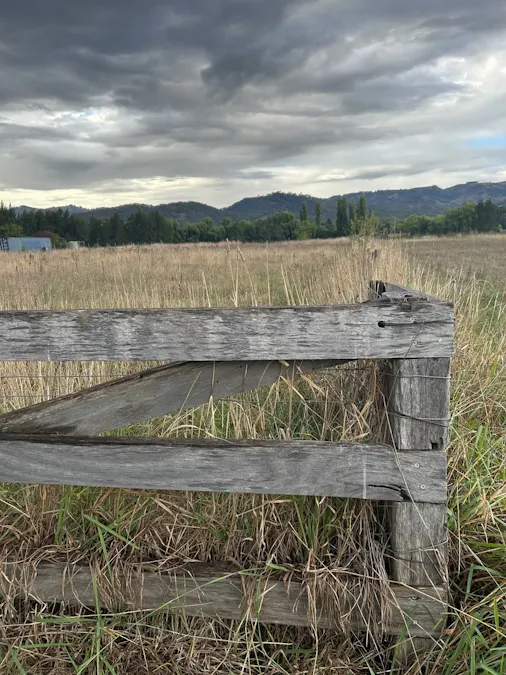 2/Surrey Street, Blandford, NSW, 2338 - Image 1