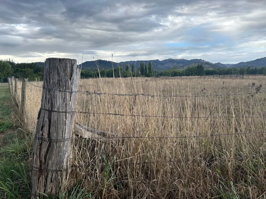 2/Surrey Street, Blandford, NSW, 2338 - Image 5