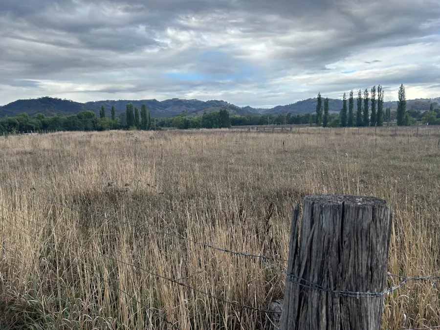 2/Surrey Street, Blandford, NSW, 2338 - Image 6