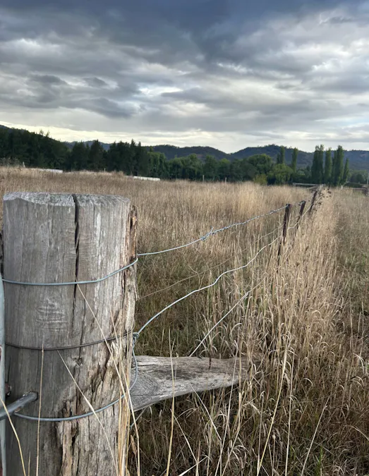 2/Surrey Street, Blandford, NSW, 2338 - Image 7