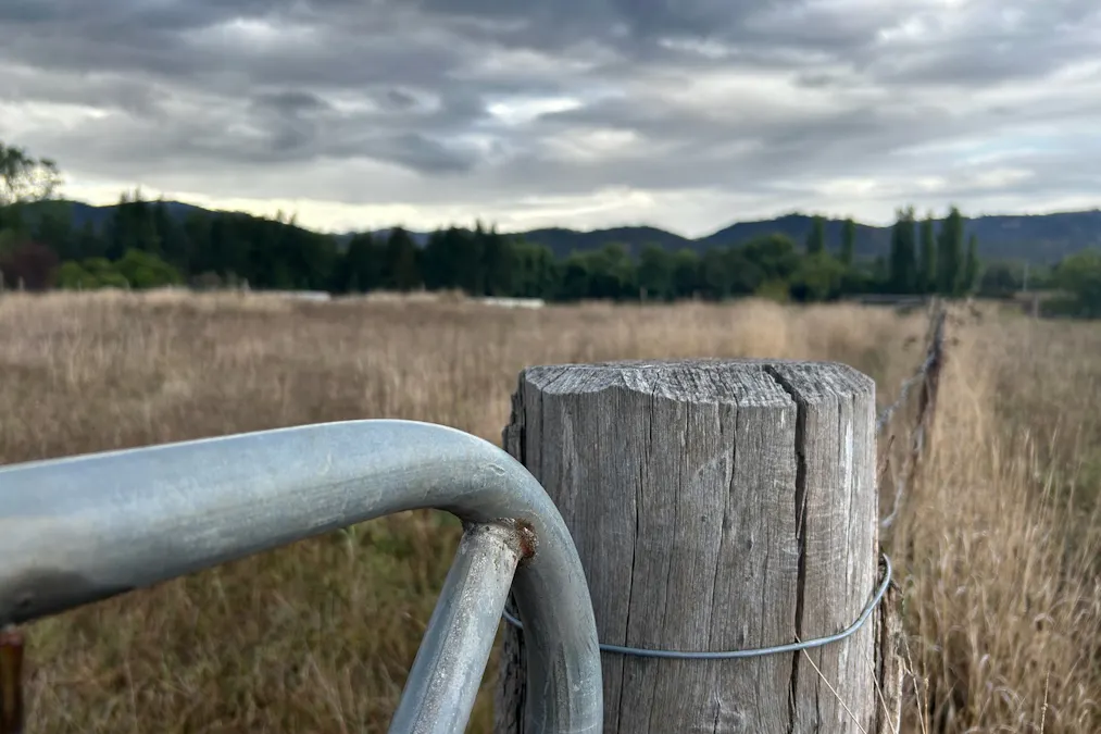 2/Surrey Street, Blandford, NSW, 2338 - Image 8