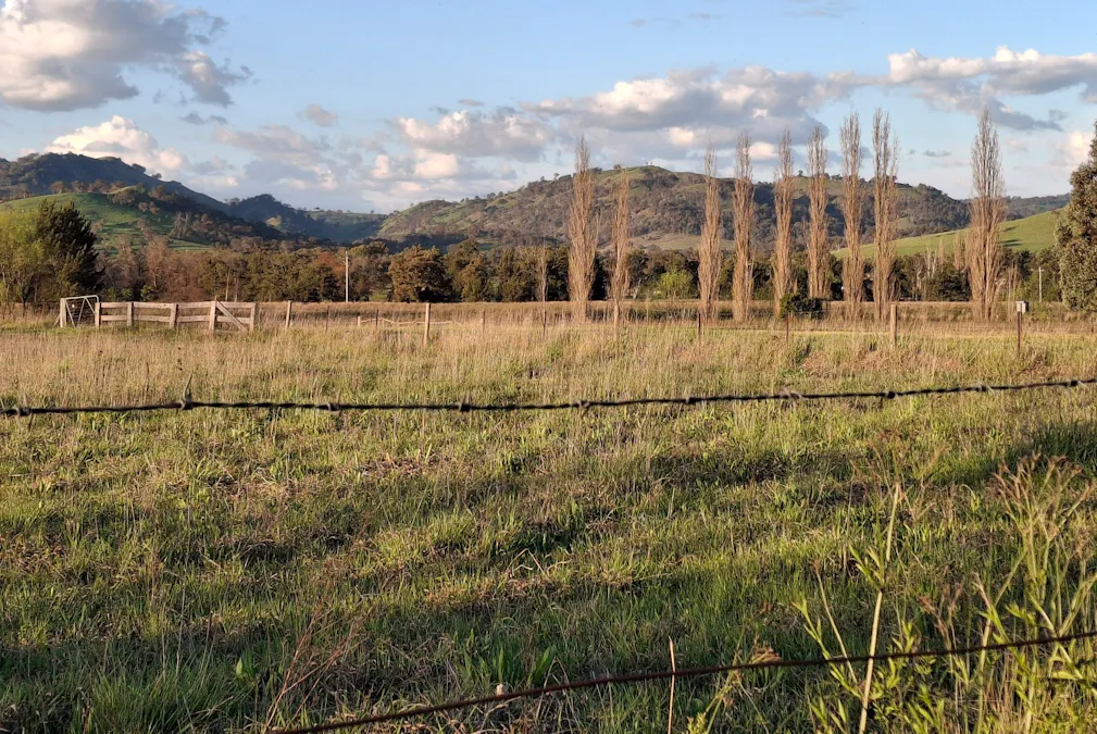 2/Surrey Street, Blandford, NSW, 2338 - Image 4