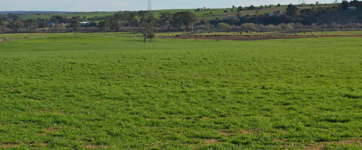 291 Murrawong Road, Murray Bridge, SA, 5253 - Image 2