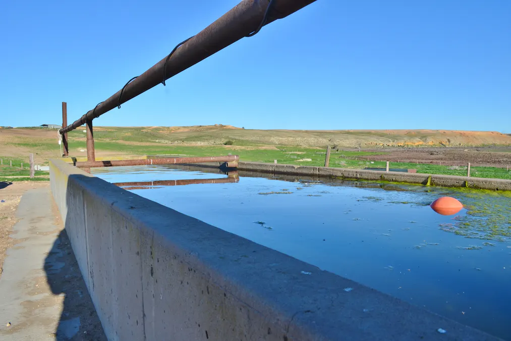 291 Murrawong Road, Murray Bridge, SA, 5253 - Image 14