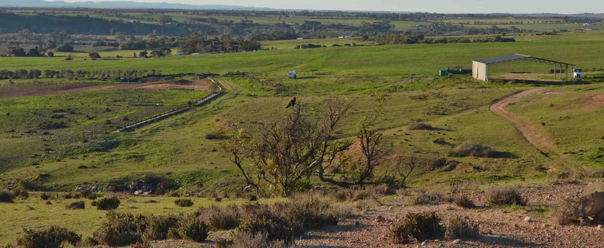 291 Murrawong Road, Murray Bridge, SA, 5253 - Image 7