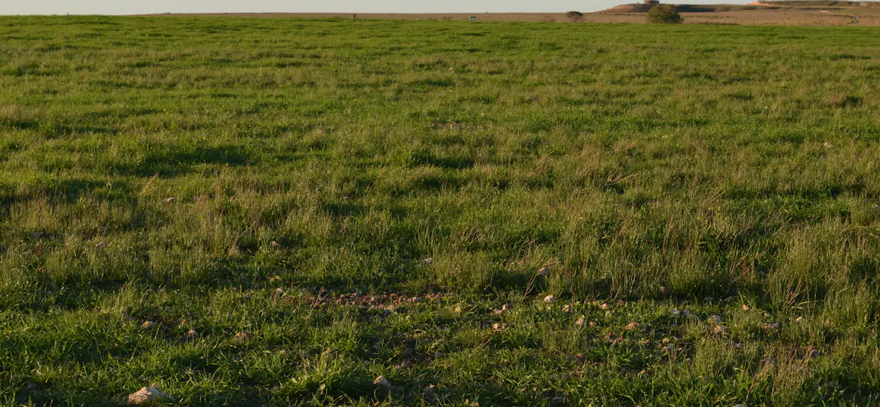 291 Murrawong Road, Murray Bridge, SA, 5253 - Image 23