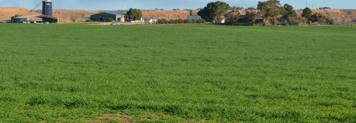 291 Murrawong Road, Murray Bridge, SA, 5253 - Image 1