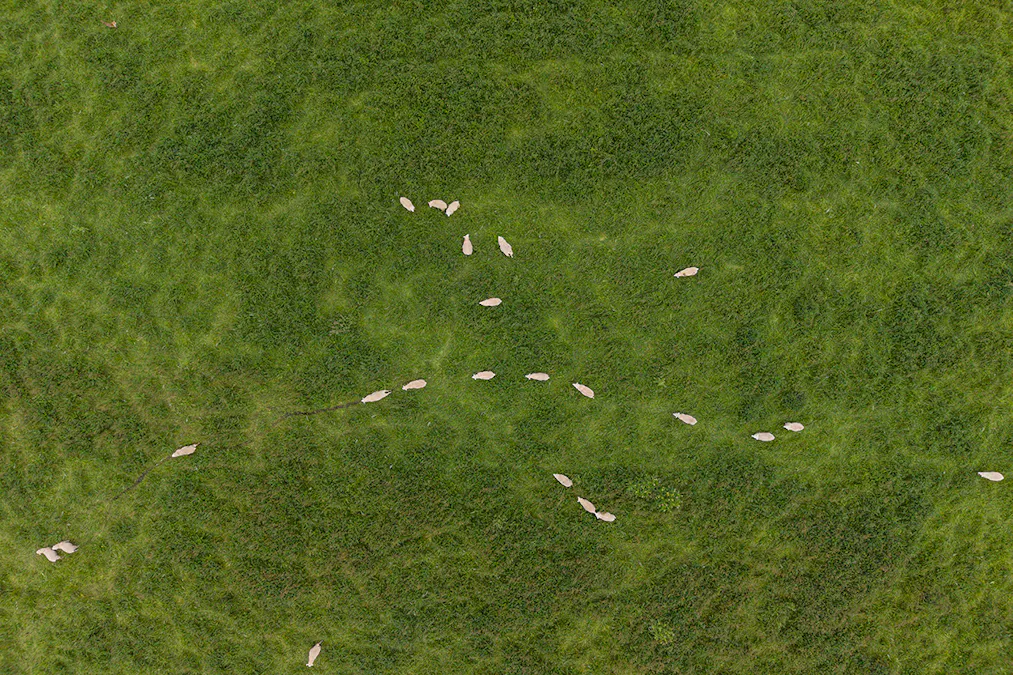 1621 Mount Napier Road, Gazette, VIC, 3289 - Image 5