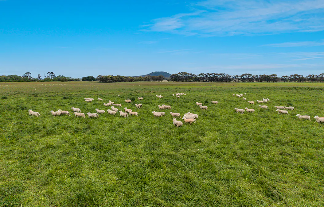 1621 Mount Napier Road, Gazette, VIC, 3289 - Image 8